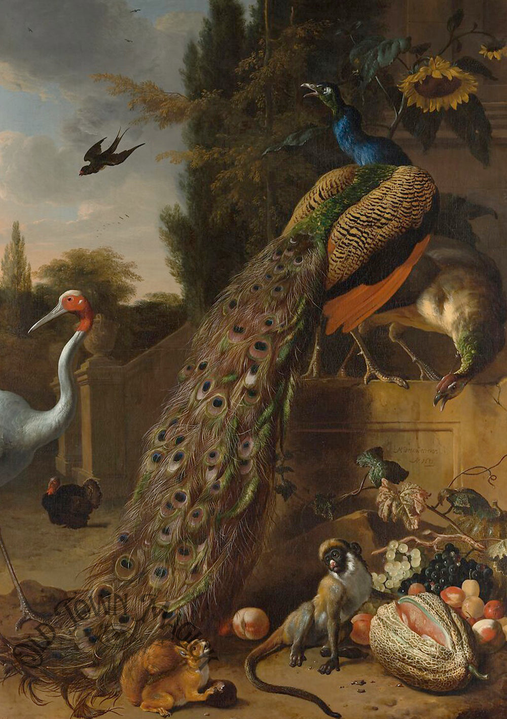 Peacock In The Garden Wall Art Print