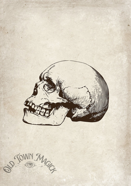 Skull And Time’s Decay Wall Art Print