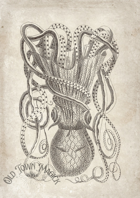 Vitnage Octopus Engraving Wall Art Print