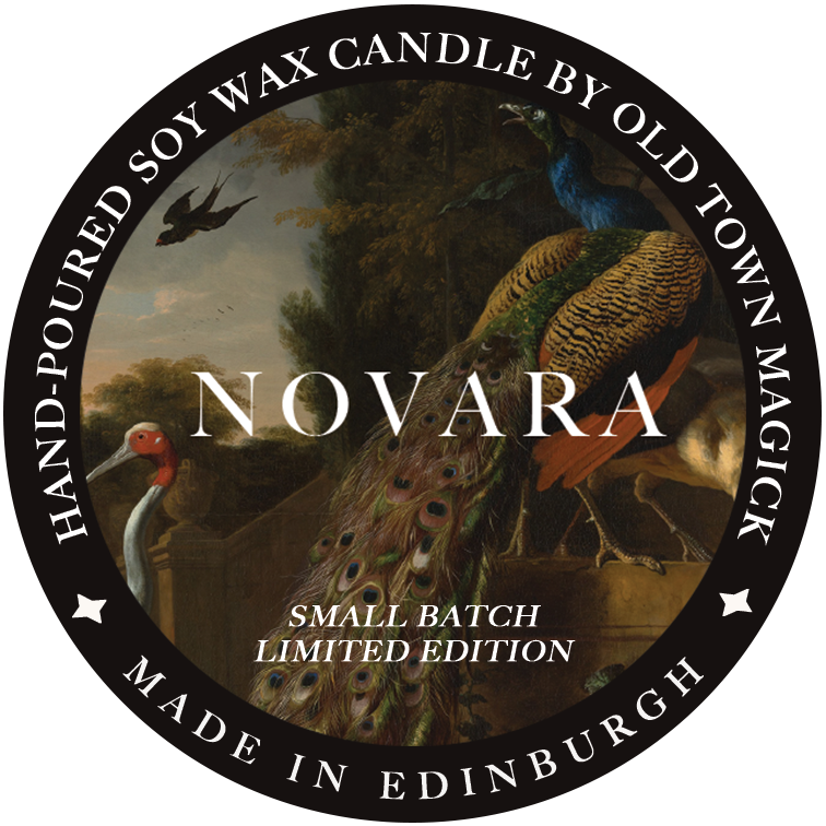Novara Soy Wax Candle – Citrus & Woods Scented Candle for Dark Interiors - Old Town Magick