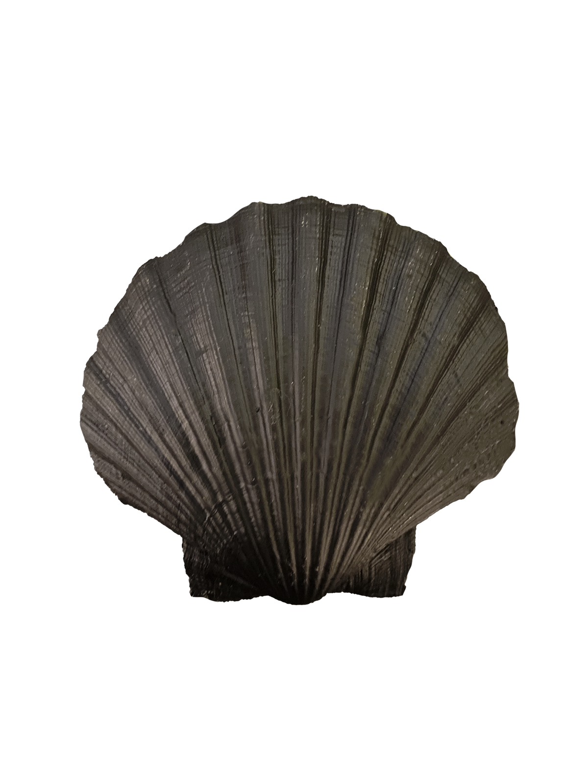 Gold-Leafed Scallop Trinket Dish