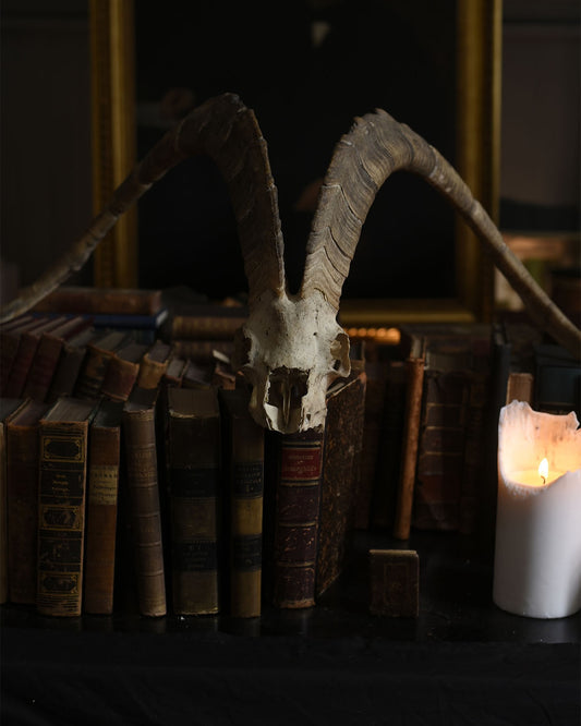 A gothic scene featuring a ram skull atop antique books, lit by a candle, evoking a mysterious, occult atmosphere.
