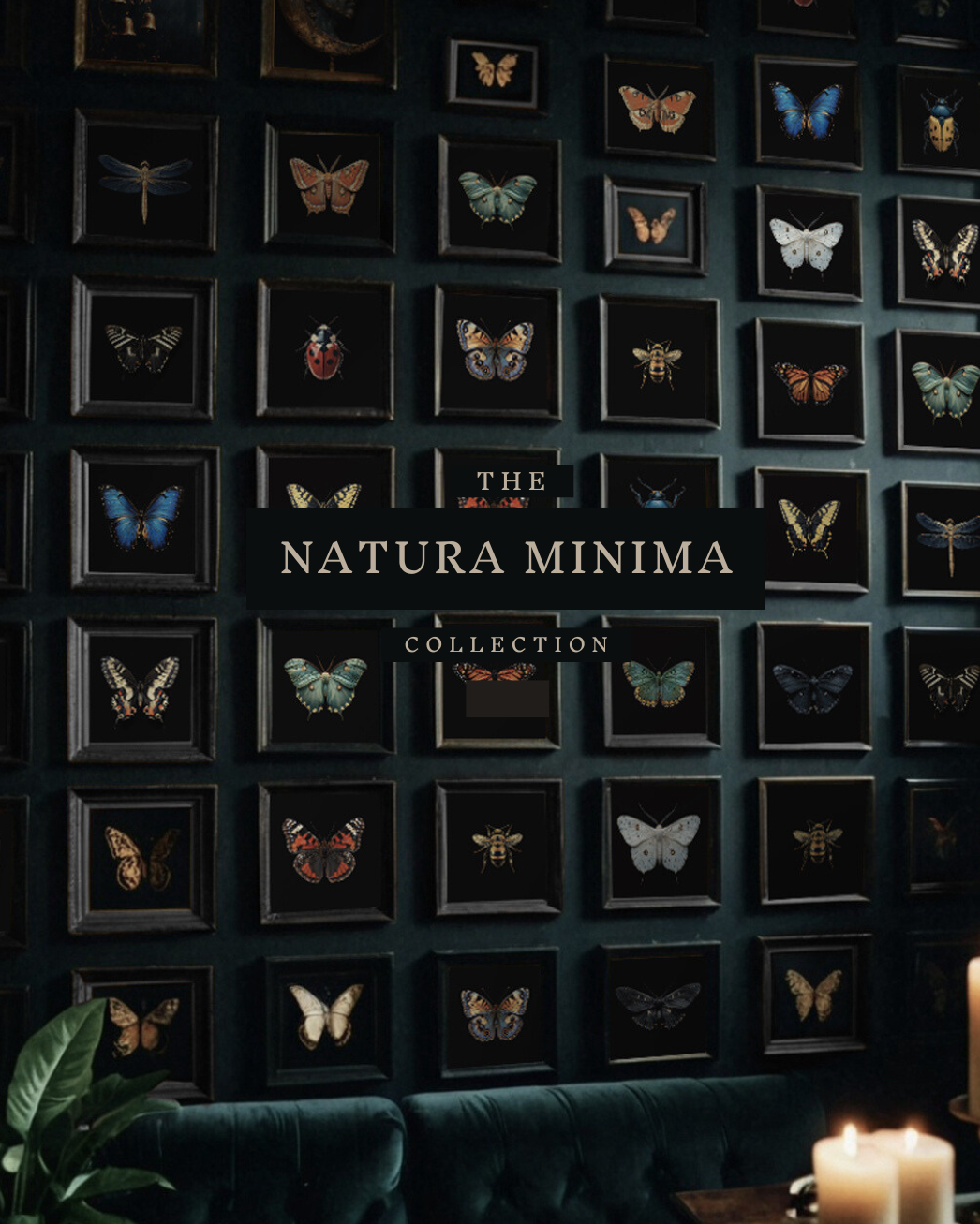 Wall of framed insect art prints in dark gothic style, featuring butterflies, moths, and sacred icons.