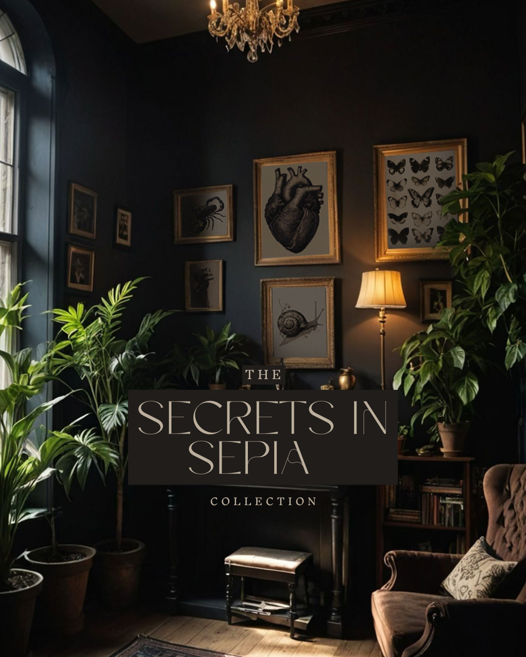 Dark academia-style room with botanical and anatomical art prints, evoking a vintage, intellectual mood with sepia tones.

