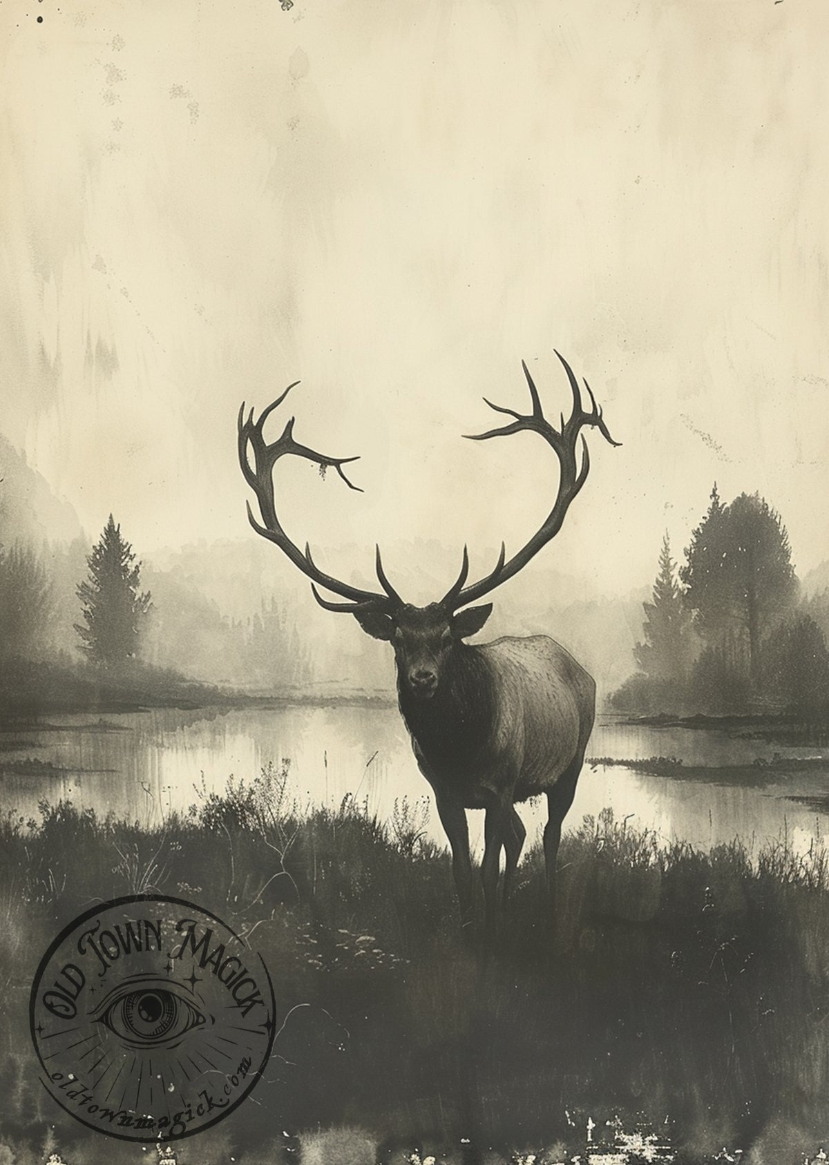 Scottish Stag – Highland Wildlife Illustration – Dark Academia Wall Art Print - Old Town Magick