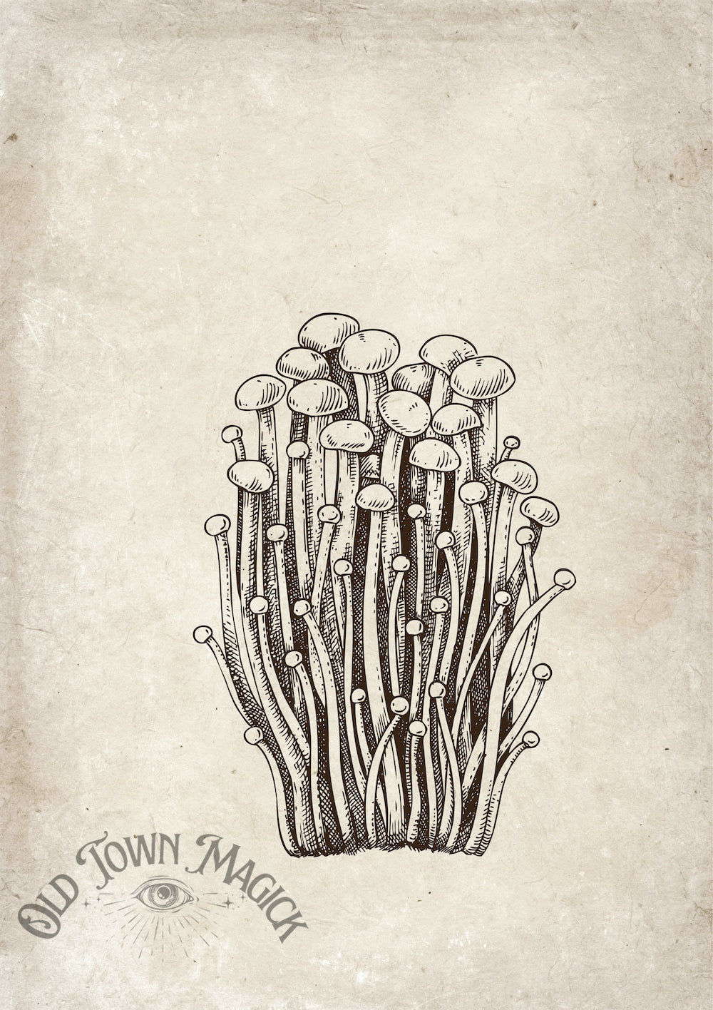 Mushroom Cluster Botanical Study Wall Art Print – Vintage Mushroom Botanical Art