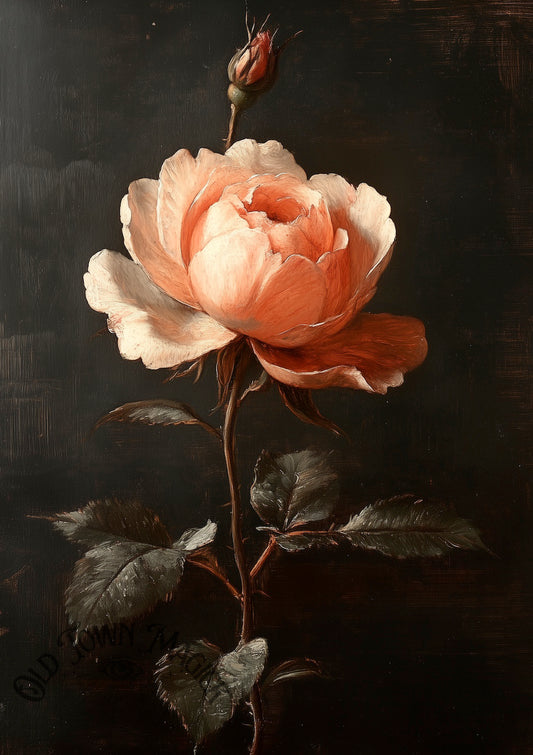Crimson Rose Wall Art Print