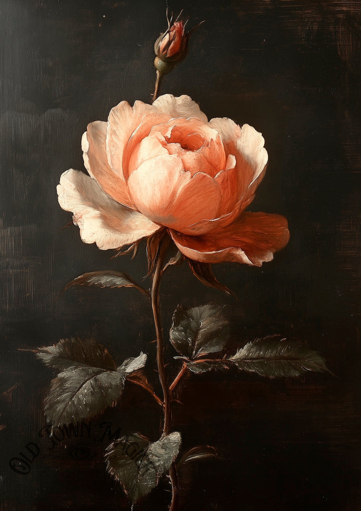 Crimson Rose Wall Art Print – Romantic Gothic Floral Art - Old Town Magick