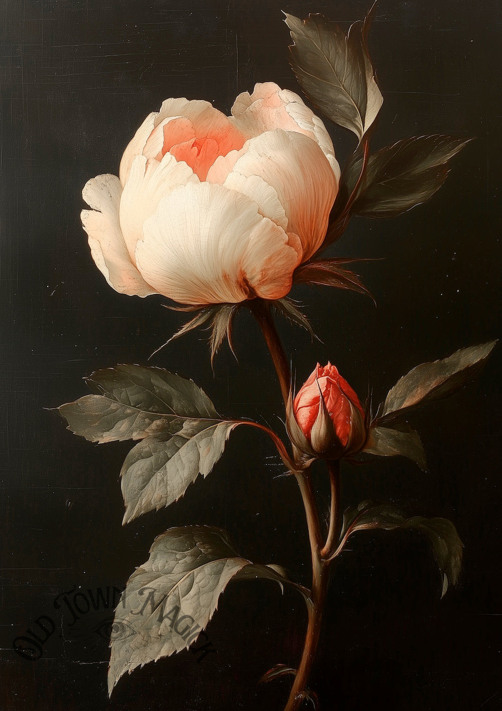 Crimson Rose 2 Wall Art Print – Gothic Floral Rose Artwork