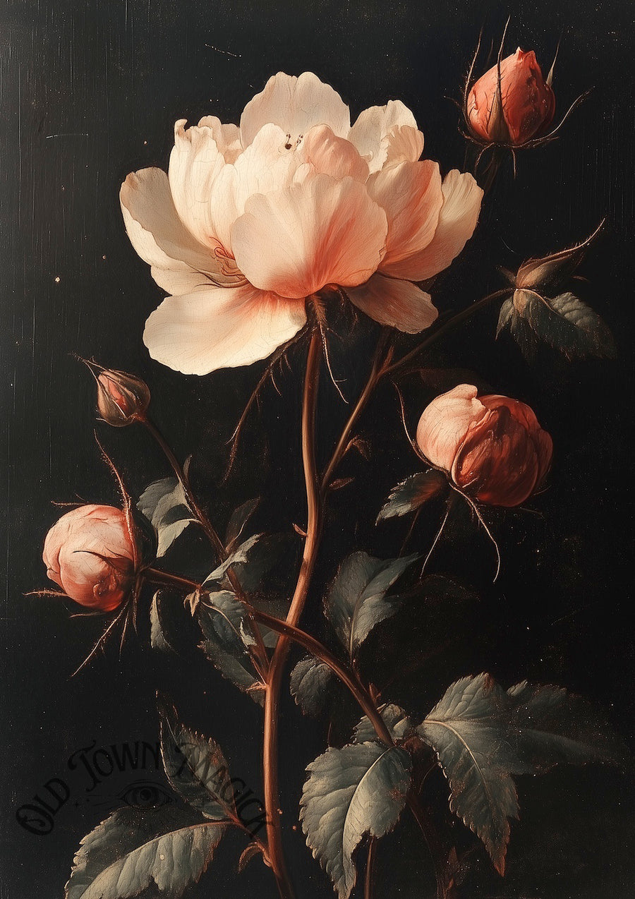 Crimson Rose 3 Wall Art Print – Dark Romantic Rose Floral Art