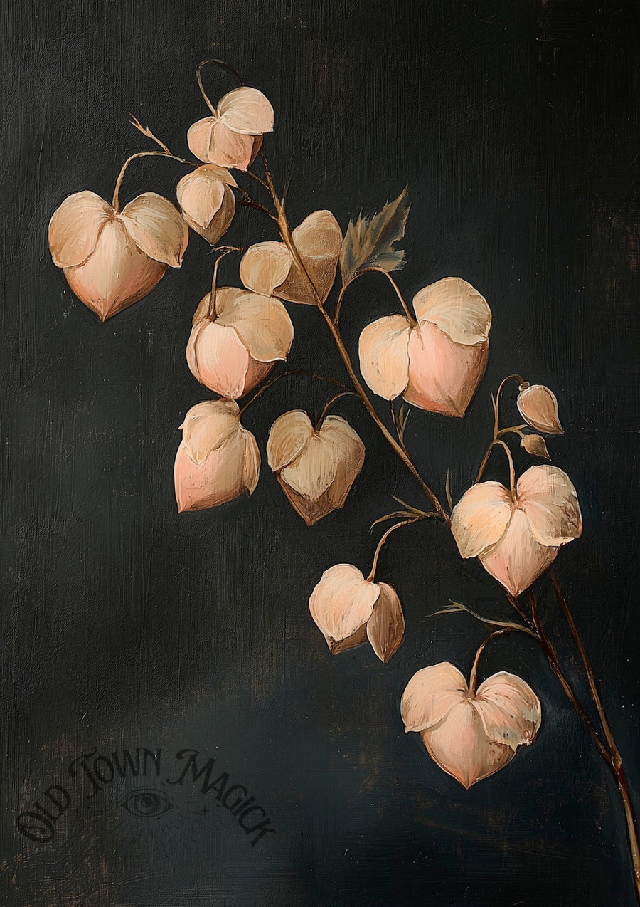 Bleeding Heart Dicentra Plant Wall Art Print – Vintage Botanical Flower Illustration