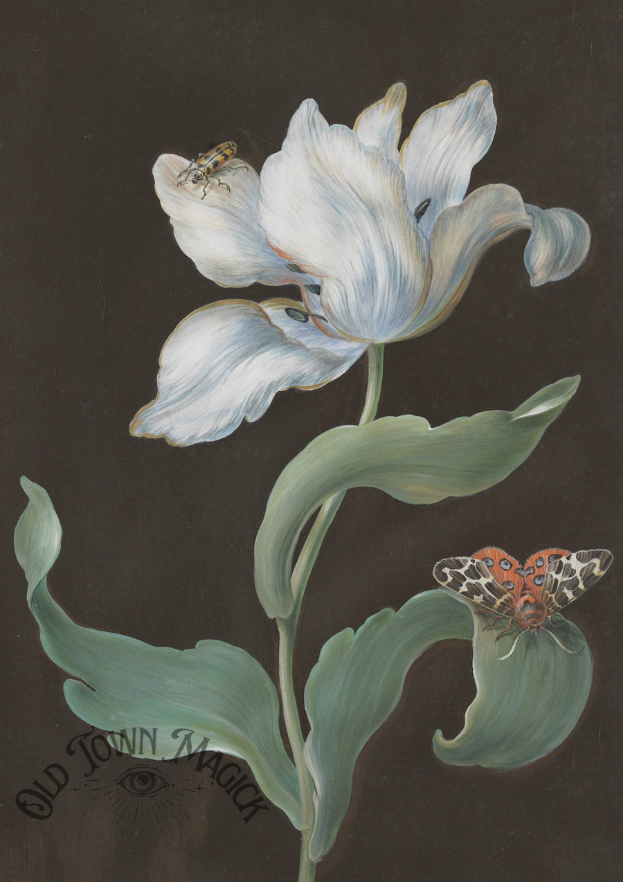Flower With Insects Painting Wall Art Print – Botanical Nature Art