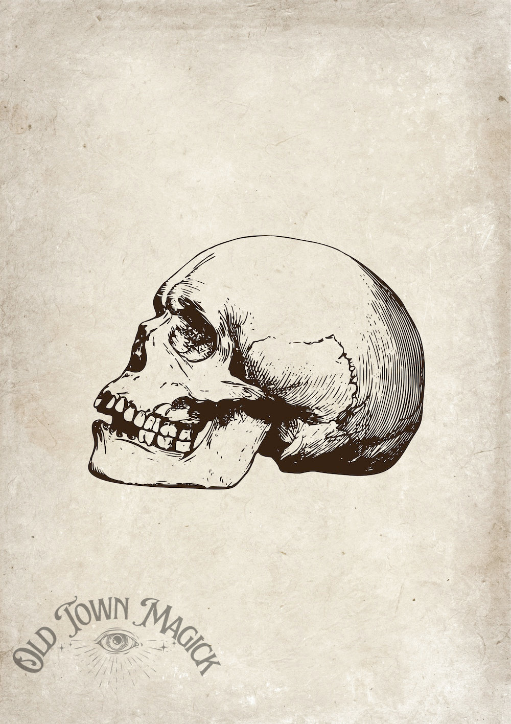 Skull And Time’s Decay Wall Art Print – Gothic Memento Mori Skull Art
