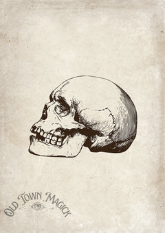 Skull And Time’s Decay Wall Art Print – Gothic Memento Mori Skull Art