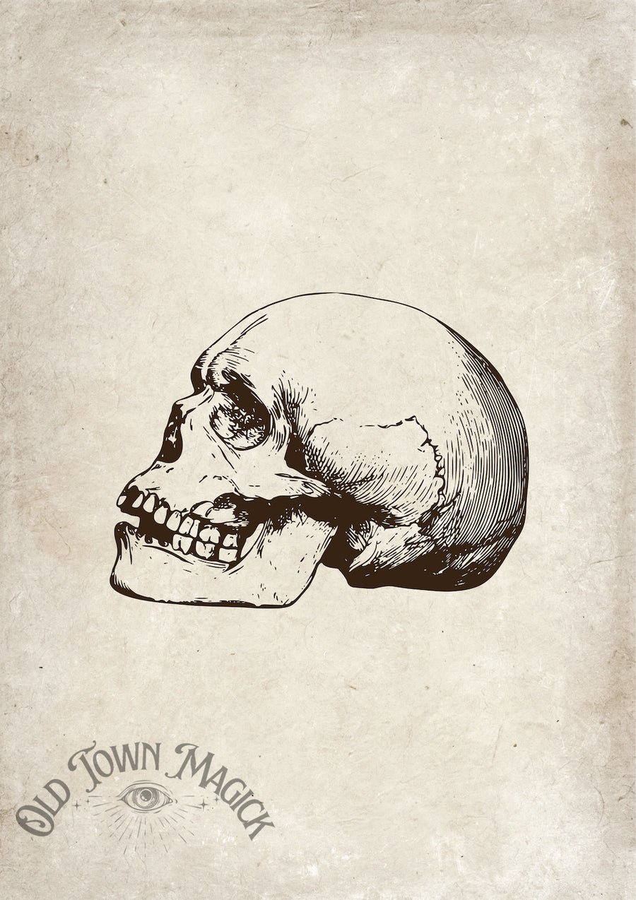 Skull And Time’s Decay Wall Art Print – Gothic Memento Mori Skull Art