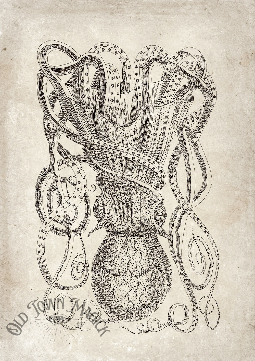 Vintage Octopus Engraving Wall Art Print – Antique Nautical Sea Creature Art