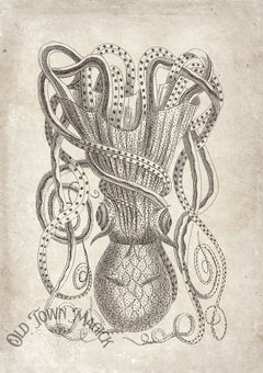 Vintage Octopus Engraving Wall Art Print – Antique Nautical Sea Creature Art