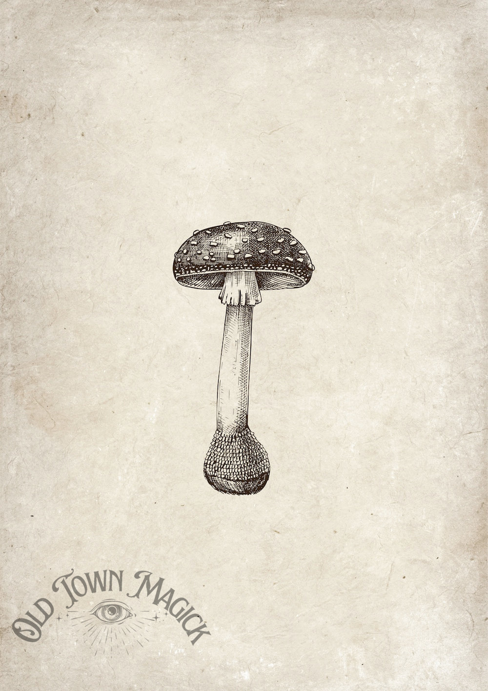 Enchanted Mushrooms Wall Art Print – Dark Academia Mushroom Botanical Art