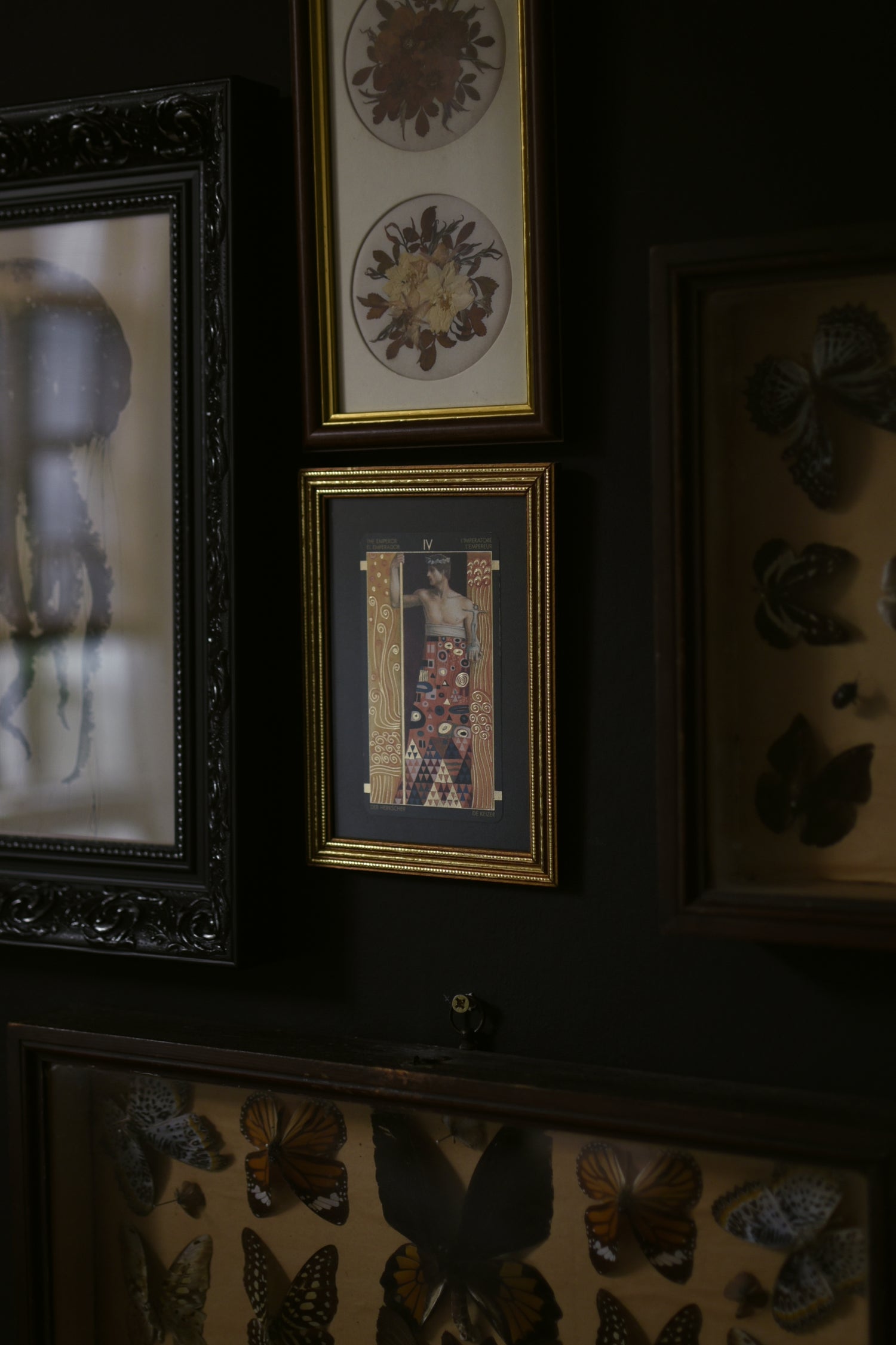 A wall displays framed artwork: jellyfish, pressed flowers, Gustav Klimt's "Emperor", and butterflies, creating a dark, moody, and vintage atmosphere.