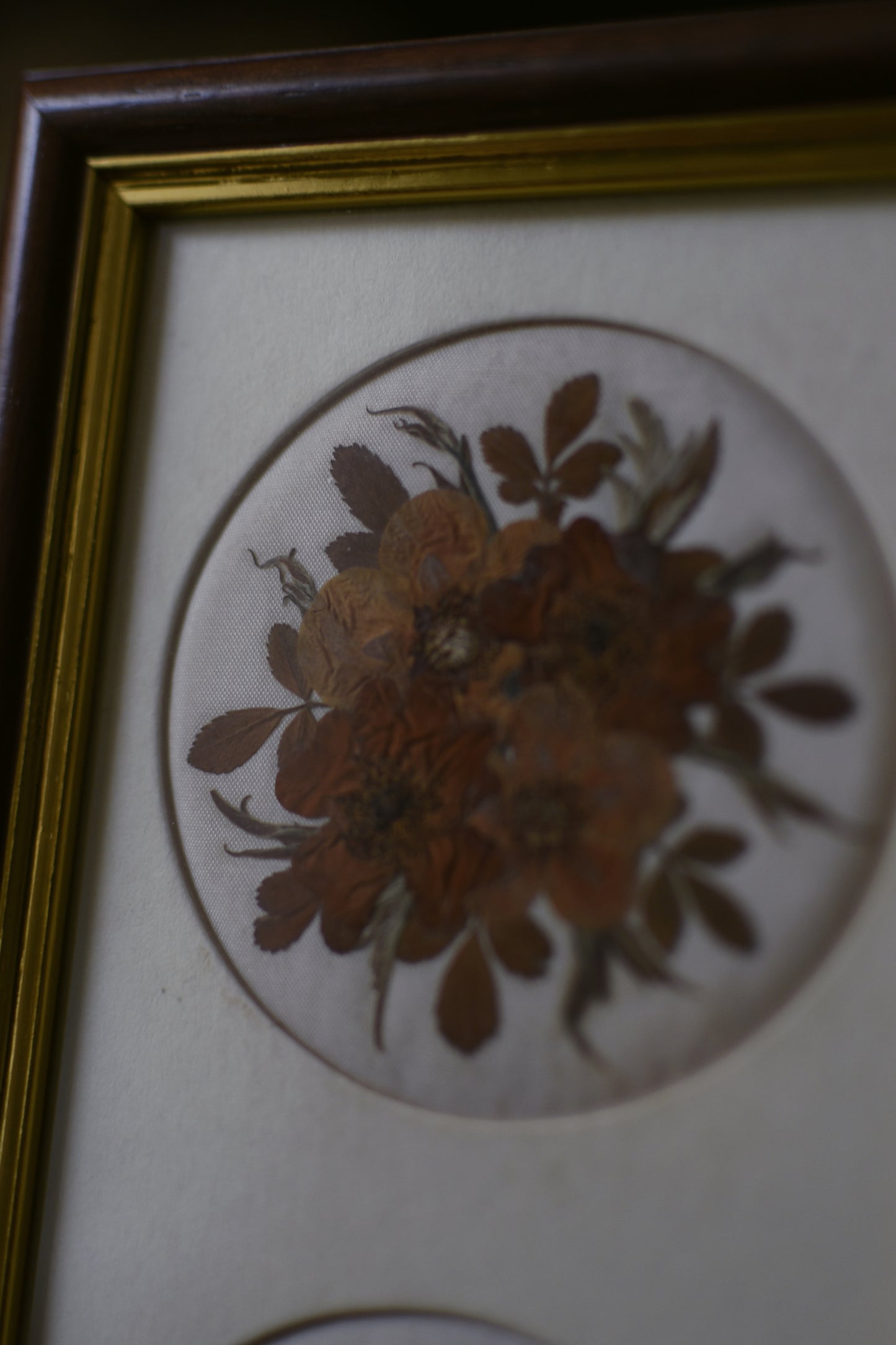 Pressed Flowers Vintage Wall Art