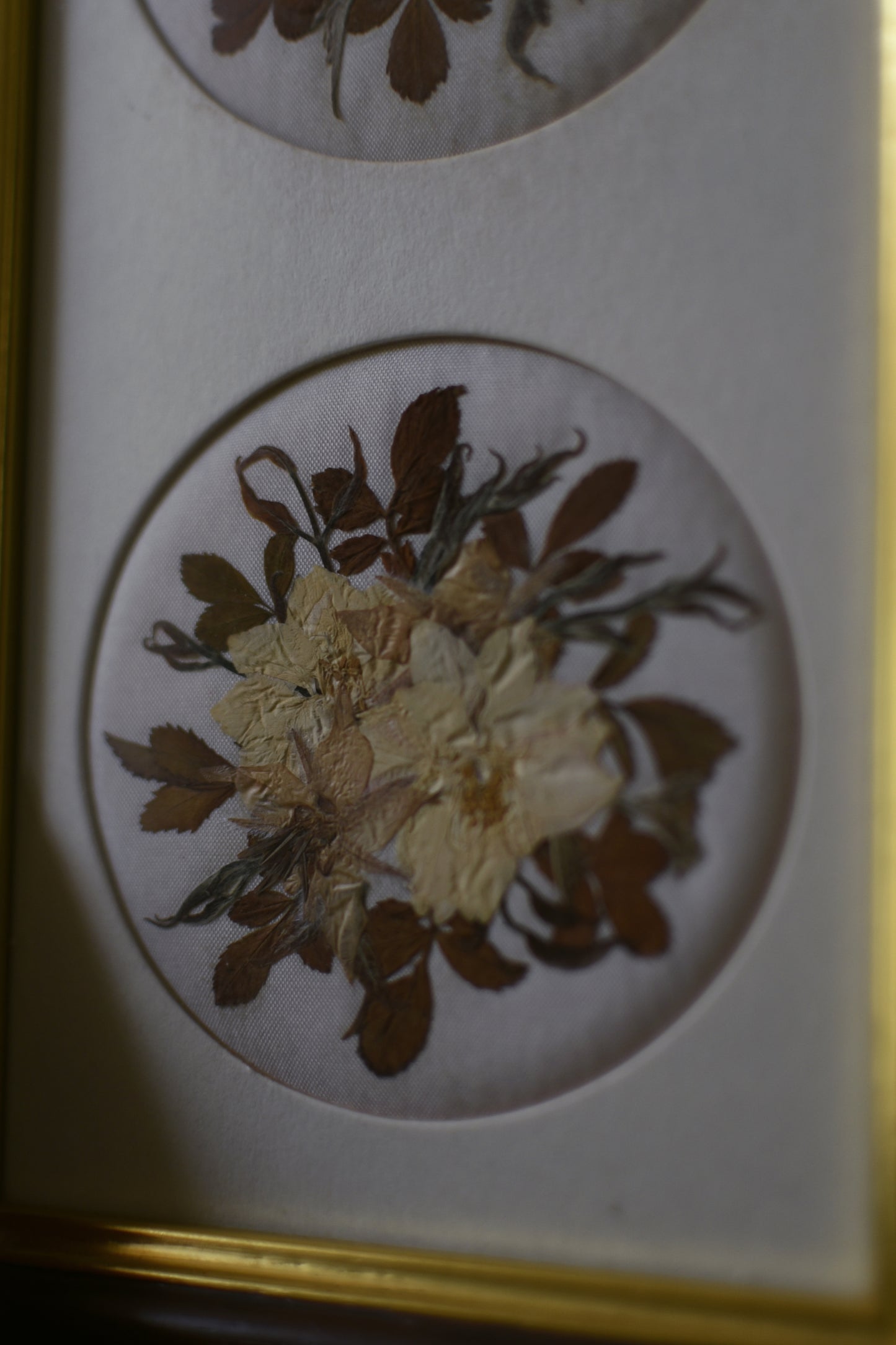 Pressed Flowers Vintage Wall Art