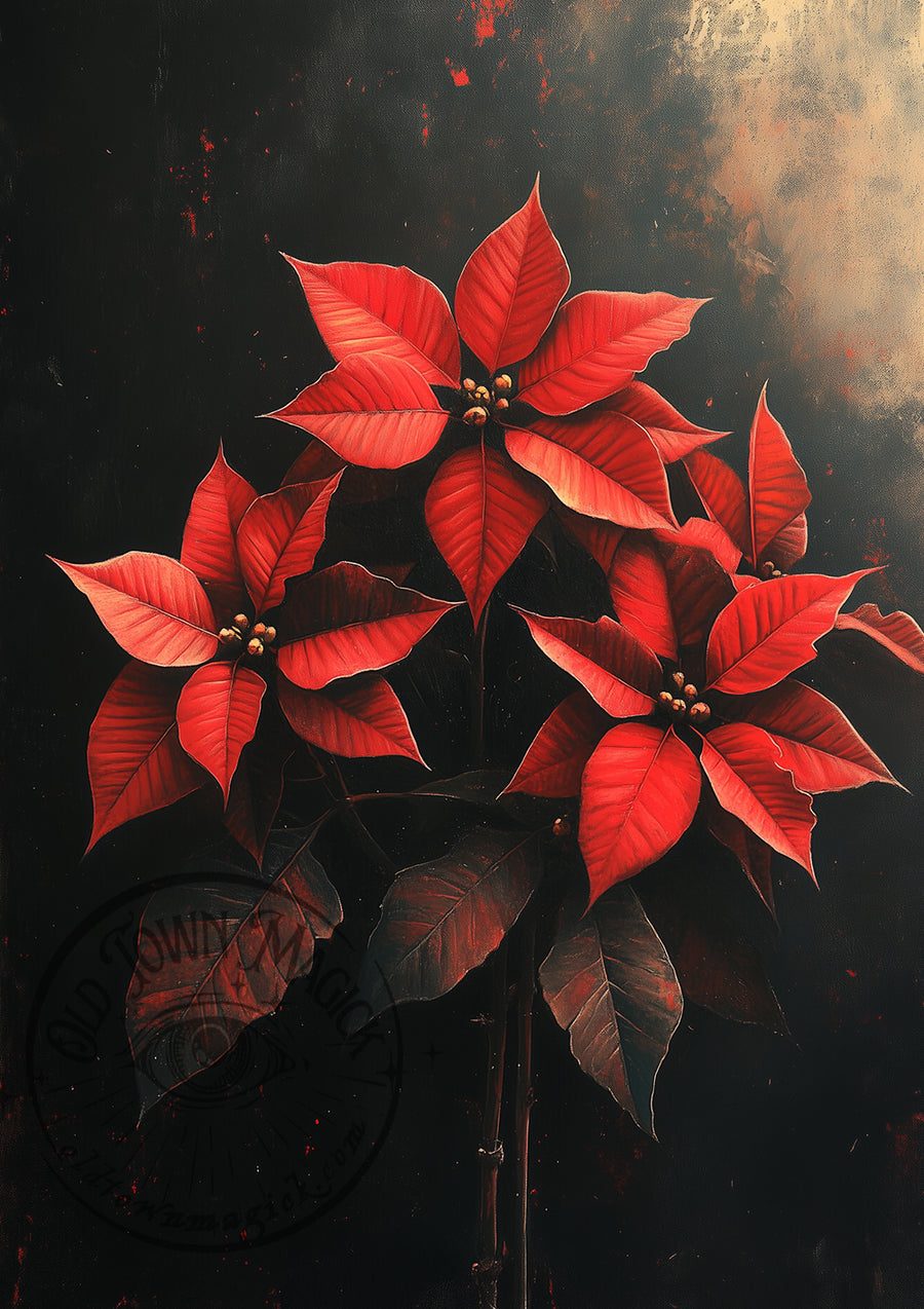 Dark Poinsettias – Christmas Flower Botanical – Festive Wall Art Print