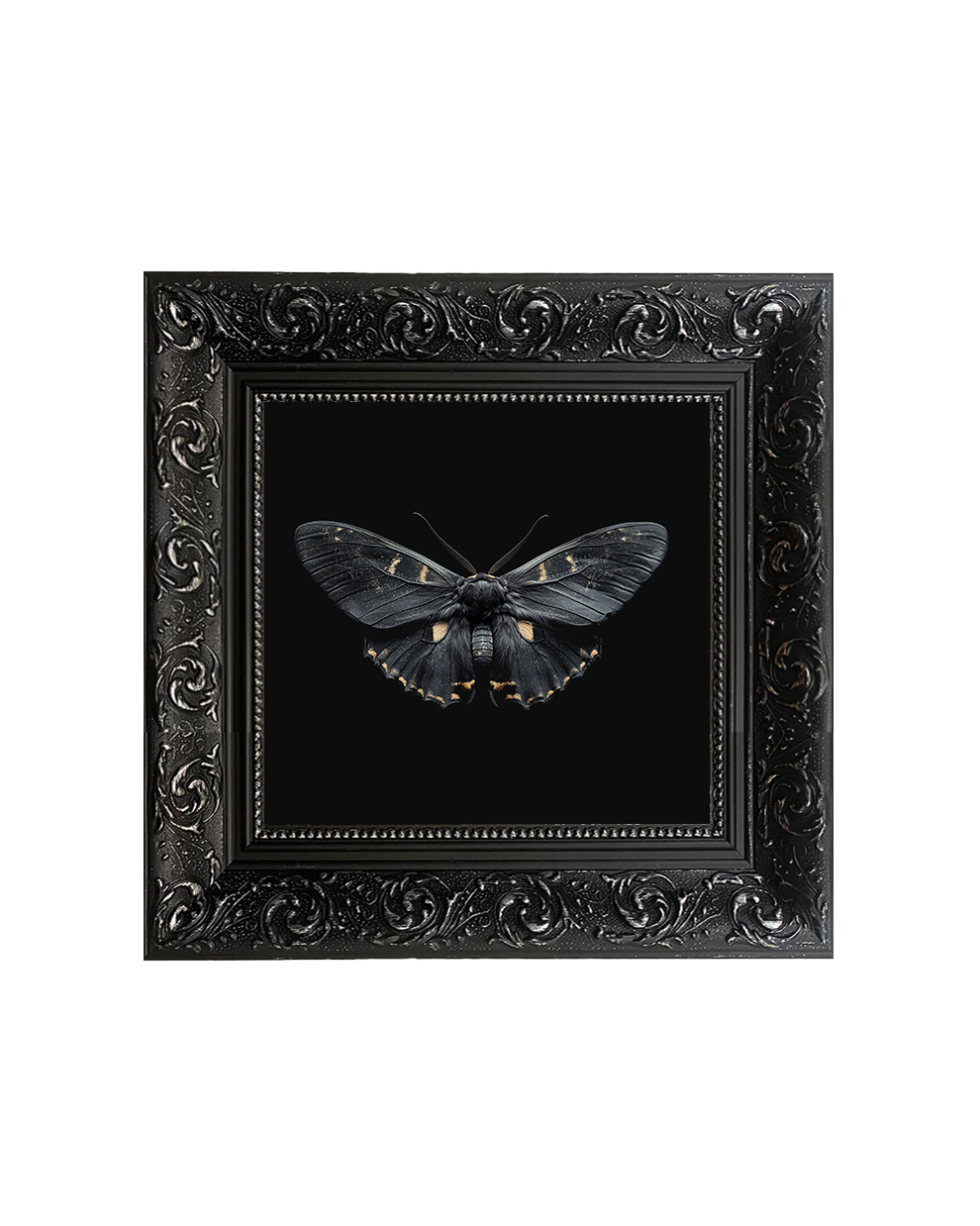 Death’s Head Hawkmoth (Acherontia atropos) Specimen Wall Art – Gothic Moth Print - Old Town Magick