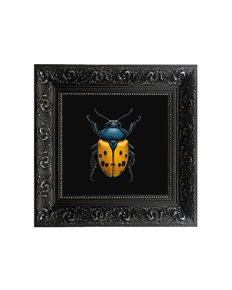 Hercules Beetle (Dynastes hercules) Specimen Wall Art – Entomology Print - Old Town Magick