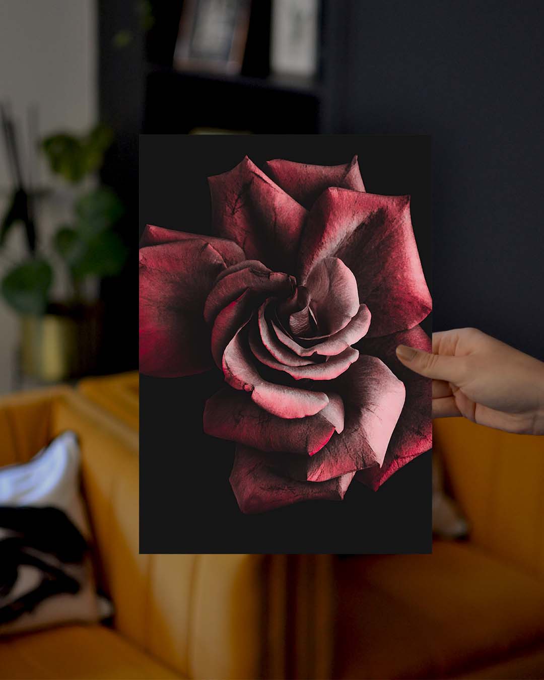 Gothic Rose Occult Esoteric Wall Art Print