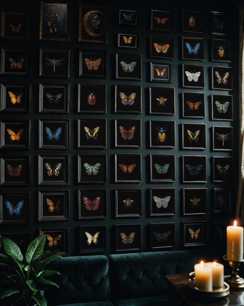 Winter Robin Bird Wall Art – Natural World Framed Print - Old Town Magick