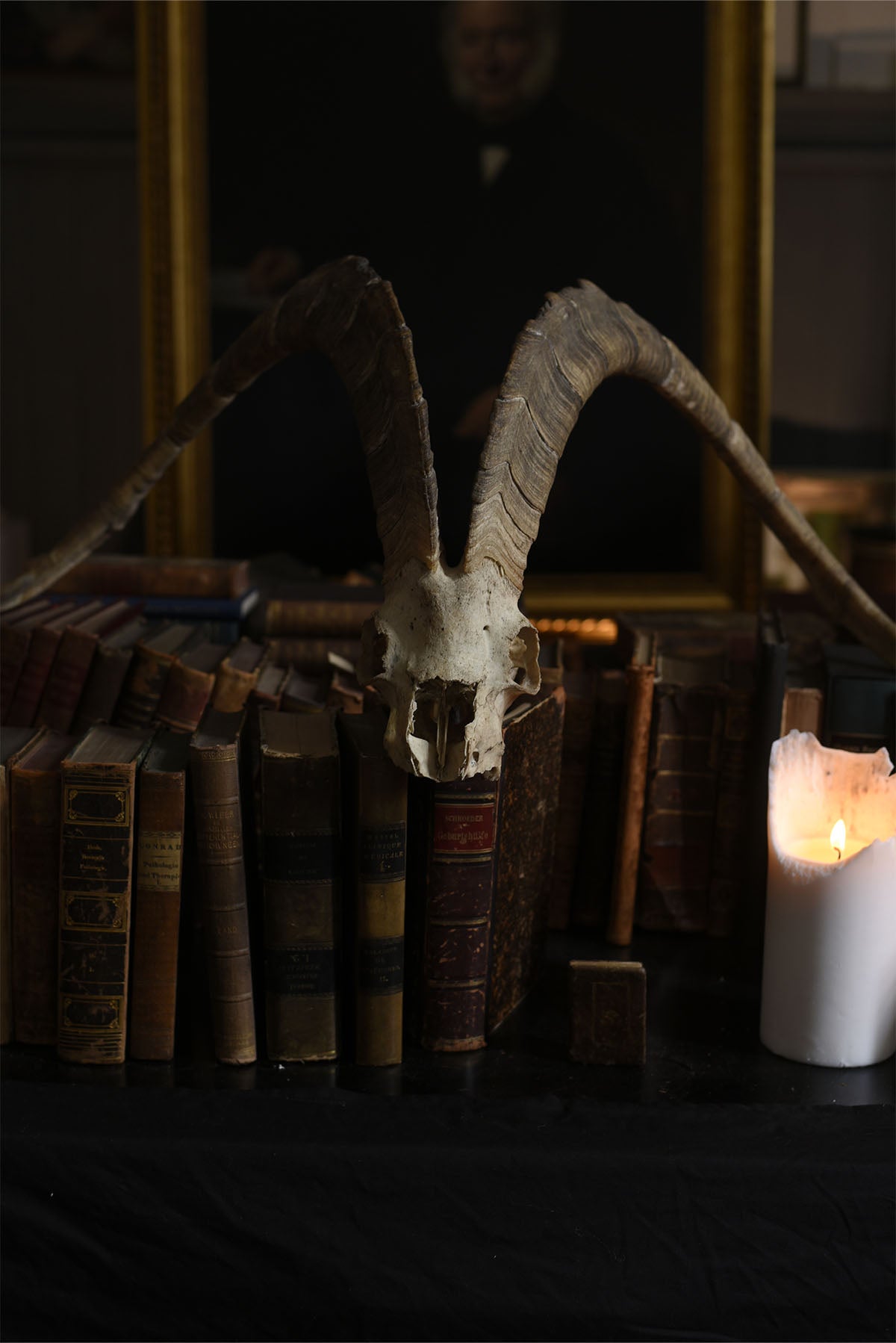 Antique Ram Skull with Horns – Natural History Curiosity Specimen - Old Town Magick