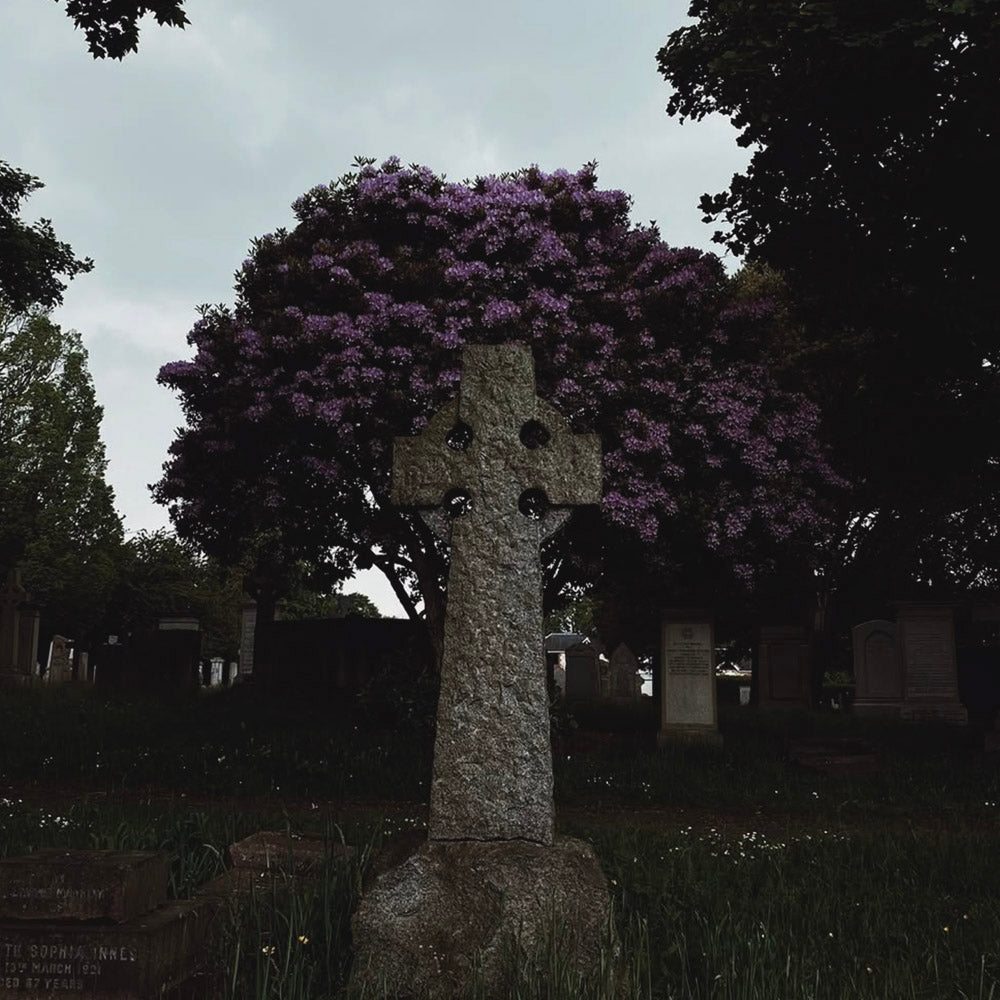 A stone Celtic cross stands in the foreground of a cemetery, with purple flowers on a tree behind it, under a cloudy sky. A tombstone reads "Sophia Innes."
