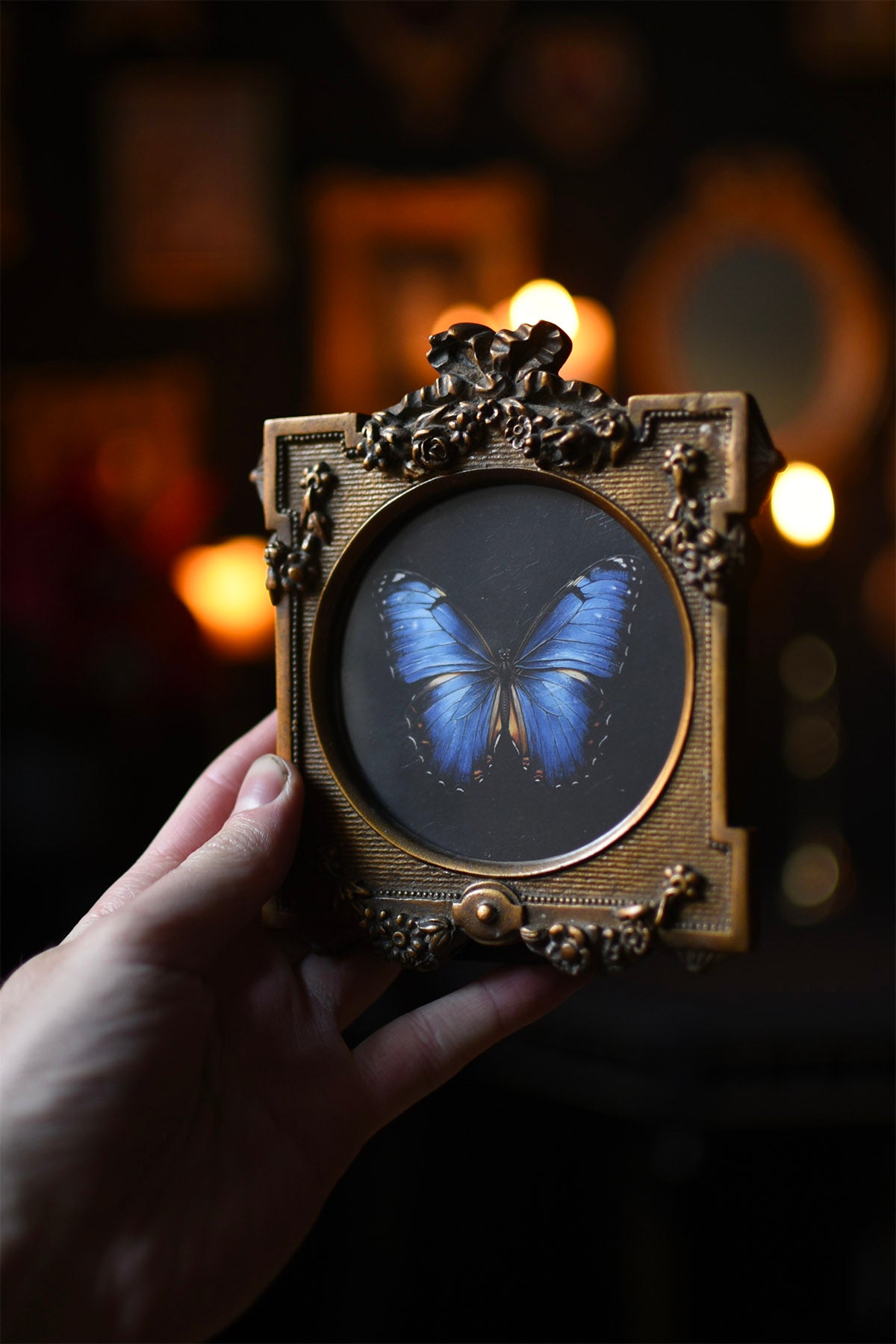 Mini Framed Butterfly Print 2 (One off)