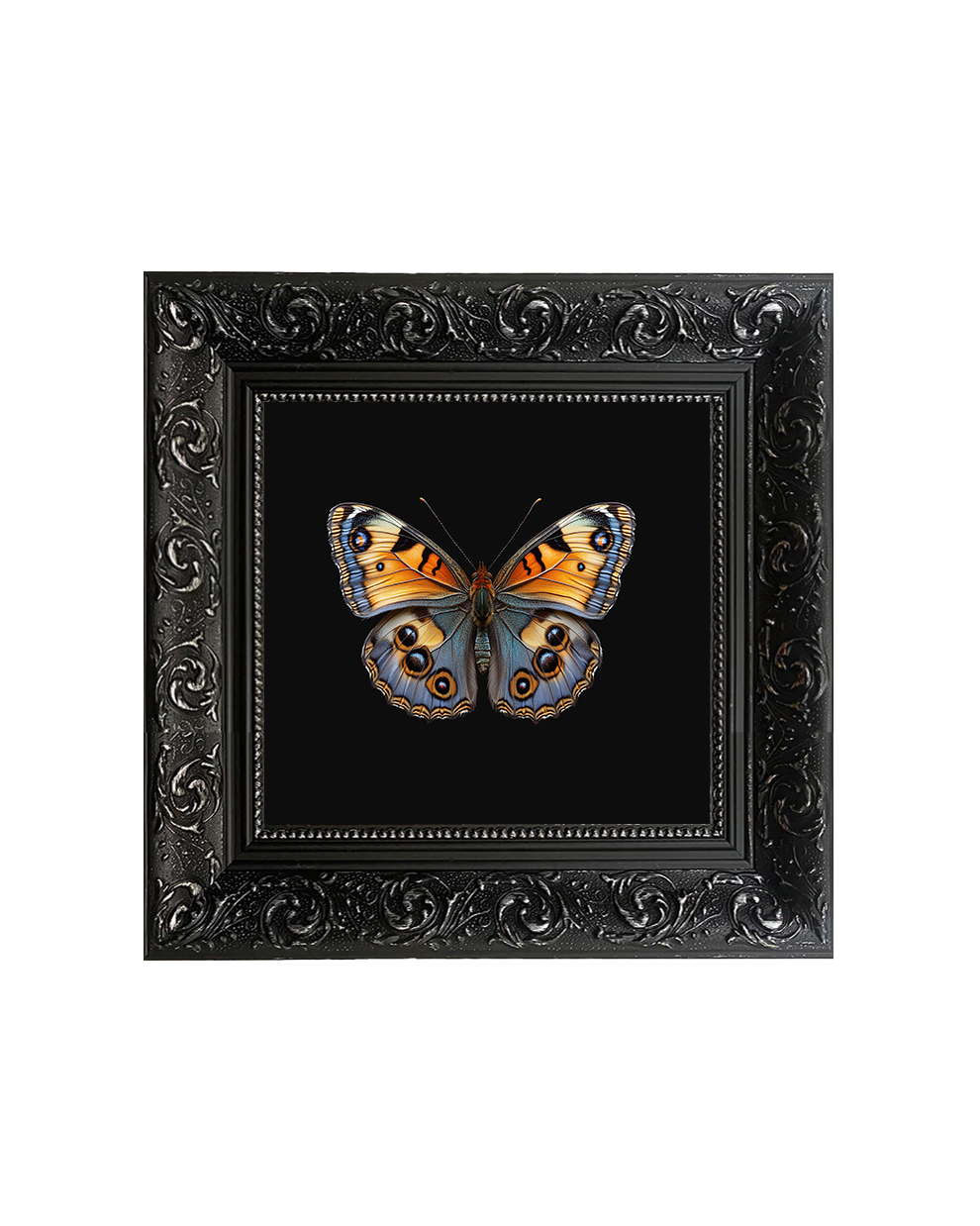 Peacock Butterfly, Framed Square Print (15cm x 15cm) - Old Town Magick