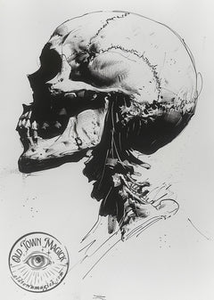 Skull Study I – Anatomical Memento Mori Illustration – Dark Academia Wall Art Print
