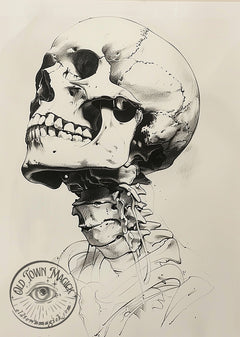 Skull Study II – Anatomical Memento Mori Illustration – Dark Academia Wall Art Print