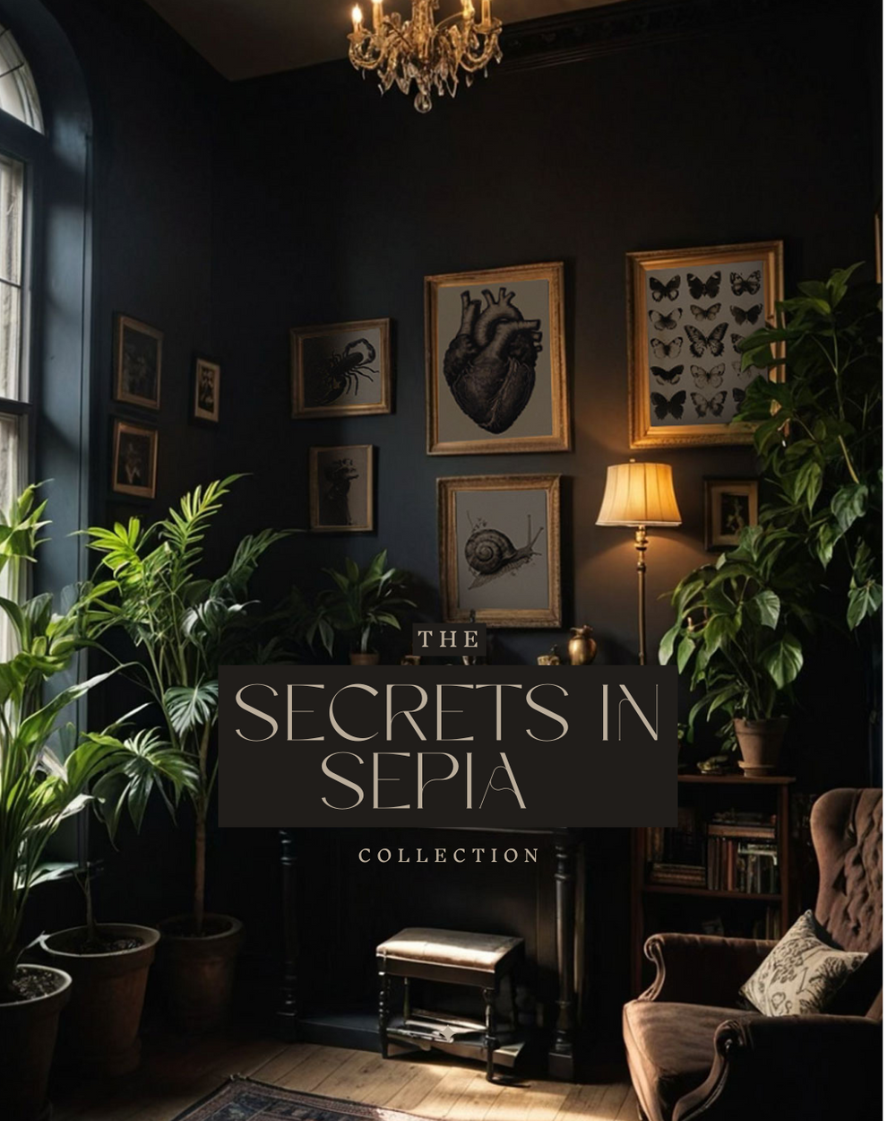 A dimly lit room features plants, antique framed art, and furniture under a chandelier. Text overlay reads "The Secrets in Sepia Collection."