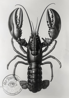 Vintage Lobster Illustration – Black and White Coastal Marine Art – Dark Academia Wall Art Print