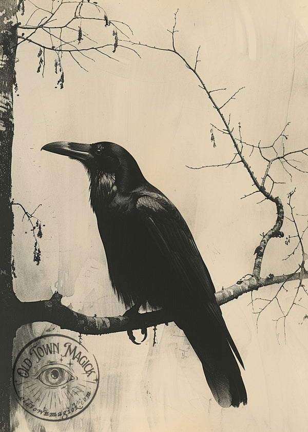 Raven
