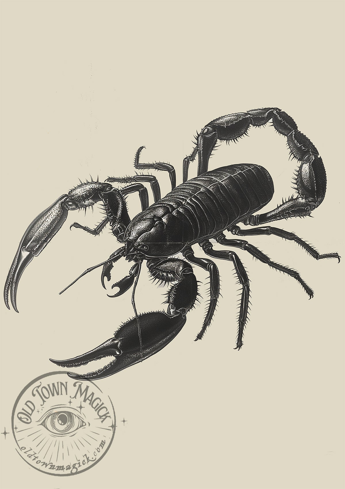 Vintage Sepia Scorpion Illustration – Antique Natural History Study – Dark Academia Wall Art Print - Old Town Magick