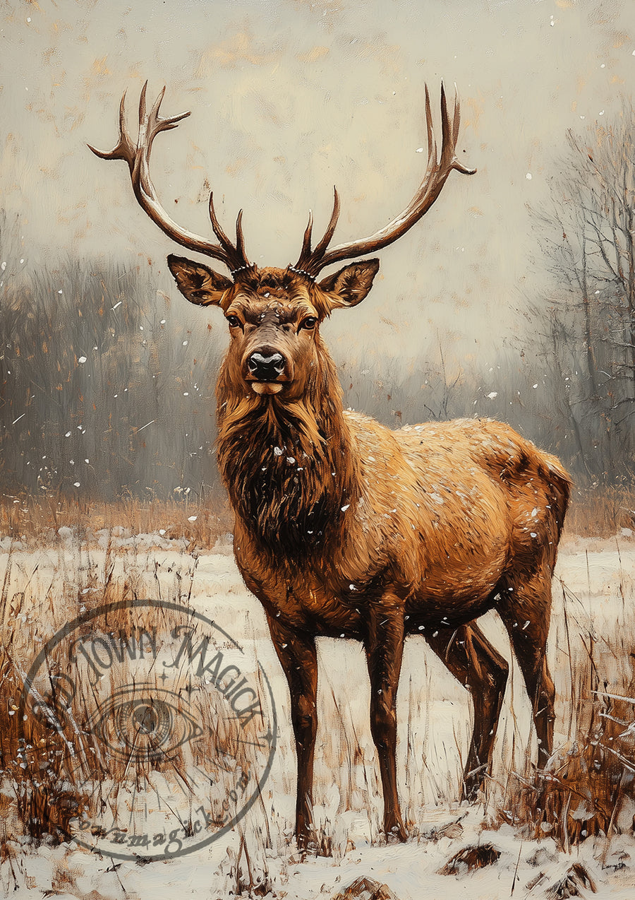 Winter Stag – Deer in Snow Forest – Winter Wildlife Wall Art Print